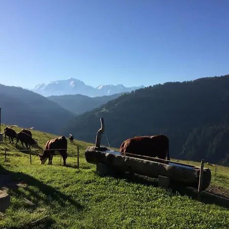 酒店 La Clusaz De Charme 圣简德斯科特